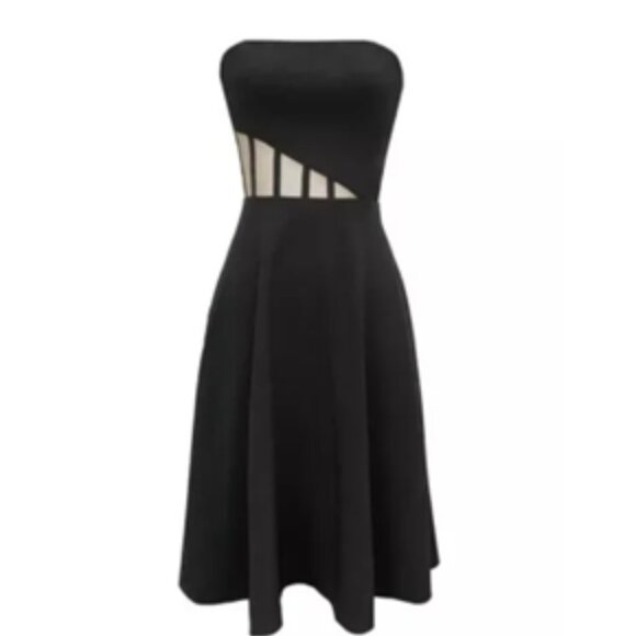 Dress the Population Dresses & Skirts - NWT Dress the Population Annel Asymmetric-Panel Strapless Corset - Size M